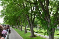 plaines_abraham_02
