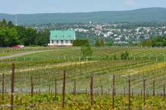 ile_orleans_02